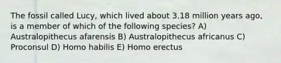 The fossil called Lucy, which lived about 3.18 million years ago, is a member of which of the following species? A) Australopithecus afarensis B) Australopithecus africanus C) Proconsul D) Homo habilis E) Homo erectus