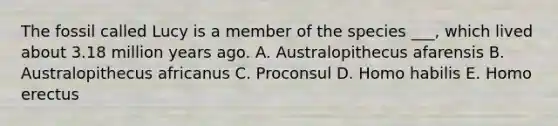 The fossil called Lucy is a member of the species ___, which lived about 3.18 million years ago. A. Australopithecus afarensis B. Australopithecus africanus C. Proconsul D. Homo habilis E. Homo erectus