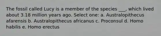 The fossil called Lucy is a member of the species ___, which lived about 3.18 million years ago. Select one: a. Australopithecus afarensis b. Australopithecus africanus c. Proconsul d. Homo habilis e. Homo erectus