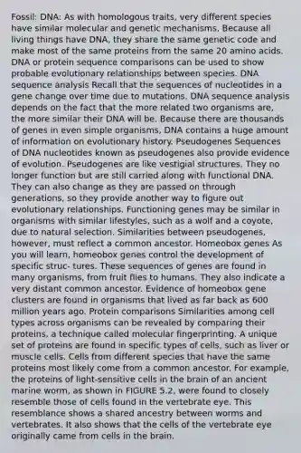 Fossil: DNA: As with homologous traits, very different species have similar molecular and genetic mechanisms. Because all living things have DNA, they share the same genetic code and make most of the same proteins from the same 20 amino acids. DNA or protein sequence comparisons can be used to show probable evolutionary relationships between species. DNA sequence analysis Recall that the sequences of nucleotides in a gene change over time due to mutations. DNA sequence analysis depends on the fact that the more related two organisms are, the more similar their DNA will be. Because there are thousands of genes in even simple organisms, DNA contains a huge amount of information on evolutionary history. Pseudogenes Sequences of DNA nucleotides known as pseudogenes also provide evidence of evolution. Pseudogenes are like vestigial structures. They no longer function but are still carried along with functional DNA. They can also change as they are passed on through generations, so they provide another way to figure out evolutionary relationships. Functioning genes may be similar in organisms with similar lifestyles, such as a wolf and a coyote, due to natural selection. Similarities between pseudogenes, however, must reflect a common ancestor. Homeobox genes As you will learn, homeobox genes control the development of specific struc- tures. These sequences of genes are found in many organisms, from fruit flies to humans. They also indicate a very distant common ancestor. Evidence of homeobox gene clusters are found in organisms that lived as far back as 600 million years ago. Protein comparisons Similarities among cell types across organisms can be revealed by comparing their proteins, a technique called molecular fingerprinting. A unique set of proteins are found in specific types of cells, such as liver or muscle cells. Cells from different species that have the same proteins most likely come from a common ancestor. For example, the proteins of light-sensitive cells in the brain of an ancient marine worm, as shown in FIGURE 5.2, were found to closely resemble those of cells found in the vertebrate eye. This resemblance shows a shared ancestry between worms and vertebrates. It also shows that the cells of the vertebrate eye originally came from cells in the brain.