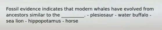 Fossil evidence indicates that modern whales have evolved from ancestors similar to the __________. - plesiosaur - water buffalo - sea lion - hippopotamus - horse