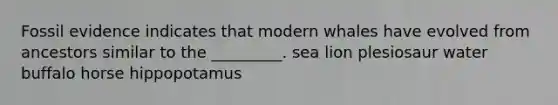 Fossil evidence indicates that modern whales have evolved from ancestors similar to the _________. sea lion plesiosaur water buffalo horse hippopotamus