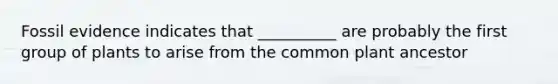 Fossil evidence indicates that __________ are probably the first group of plants to arise from the common plant ancestor