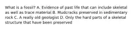 What is a fossil? A. Evidence of past life that can include skeletal as well as trace material B. Mudcracks preserved in sedimentary rock C. A really old geologist D. Only the hard parts of a skeletal structure that have been preserved