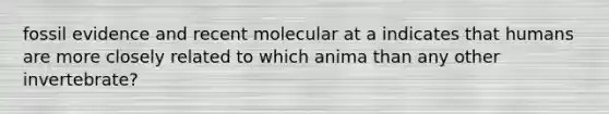 fossil evidence and recent molecular at a indicates that humans are more closely related to which anima than any other invertebrate?