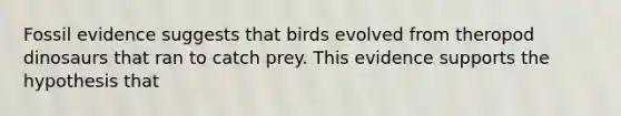 Fossil evidence suggests that birds evolved from theropod dinosaurs that ran to catch prey. This evidence supports the hypothesis that