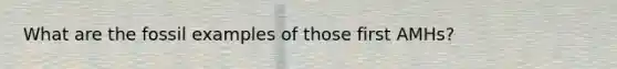 What are the fossil examples of those first AMHs?