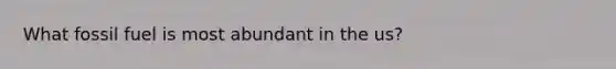 What fossil fuel is most abundant in the us?