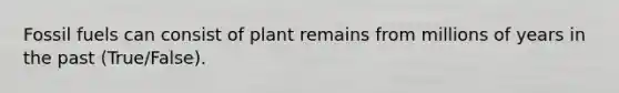 Fossil fuels can consist of plant remains from millions of years in the past (True/False).