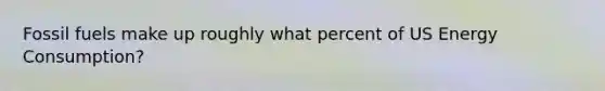 Fossil fuels make up roughly what percent of US Energy Consumption?