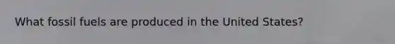 What fossil fuels are produced in the United States?