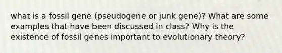 what is a fossil gene (pseudogene or junk gene)? What are some examples that have been discussed in class? Why is the existence of fossil genes important to evolutionary theory?