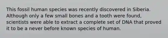 This fossil human species was recently discovered in Siberia. Although only a few small bones and a tooth were found, scientists were able to extract a complete set of DNA that proved it to be a never before known species of human.