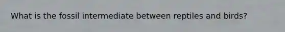 What is the fossil intermediate between reptiles and birds?