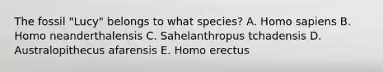 The fossil "Lucy" belongs to what species? A. Homo sapiens B. Homo neanderthalensis C. Sahelanthropus tchadensis D. Australopithecus afarensis E. Homo erectus