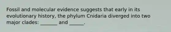 Fossil and molecular evidence suggests that early in its evolutionary history, the phylum Cnidaria diverged into two major clades: _______ and ______.