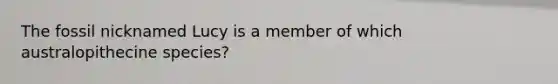 The fossil nicknamed Lucy is a member of which australopithecine species?