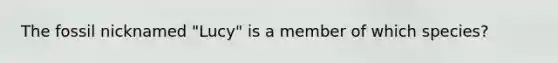 The fossil nicknamed "Lucy" is a member of which species?