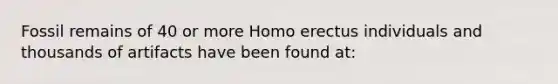 Fossil remains of 40 or more Homo erectus individuals and thousands of artifacts have been found at: