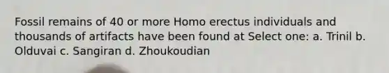 Fossil remains of 40 or more <a href='https://www.questionai.com/knowledge/kI1ONx7LAC-homo-erectus' class='anchor-knowledge'>homo erectus</a> individuals and thousands of artifacts have been found at Select one: a. Trinil b. Olduvai c. Sangiran d. Zhoukoudian