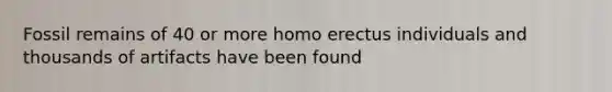 Fossil remains of 40 or more homo erectus individuals and thousands of artifacts have been found