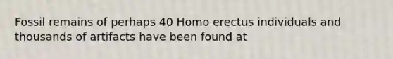 Fossil remains of perhaps 40 Homo erectus individuals and thousands of artifacts have been found at