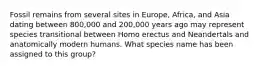 Fossil remains from several sites in Europe, Africa, and Asia dating between 800,000 and 200,000 years ago may represent species transitional between Homo erectus and Neandertals and anatomically modern humans. What species name has been assigned to this group?