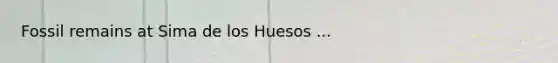 Fossil remains at Sima de los Huesos ...