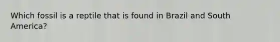 Which fossil is a reptile that is found in Brazil and South America?