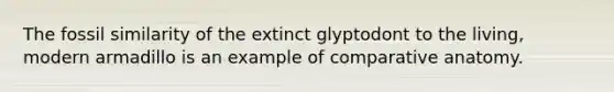 The fossil similarity of the extinct glyptodont to the living, modern armadillo is an example of comparative anatomy.