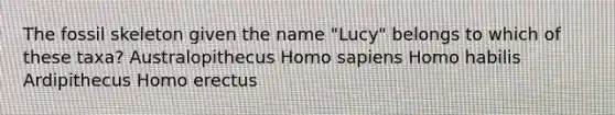 The fossil skeleton given the name "Lucy" belongs to which of these taxa? Australopithecus Homo sapiens Homo habilis Ardipithecus Homo erectus