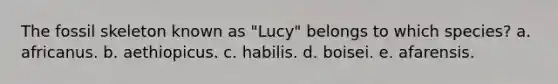 The fossil skeleton known as "Lucy" belongs to which species? a. africanus. b. aethiopicus. c. habilis. d. boisei. e. afarensis.