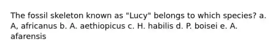 The fossil skeleton known as "Lucy" belongs to which species? a. A, africanus b. A. aethiopicus c. H. habilis d. P. boisei e. A. afarensis