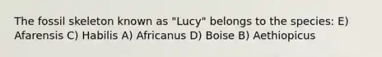 The fossil skeleton known as "Lucy" belongs to the species: E) Afarensis C) Habilis A) Africanus D) Boise B) Aethiopicus