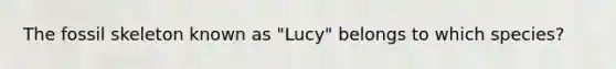 The fossil skeleton known as "Lucy" belongs to which species?