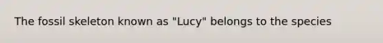 The fossil skeleton known as "Lucy" belongs to the species