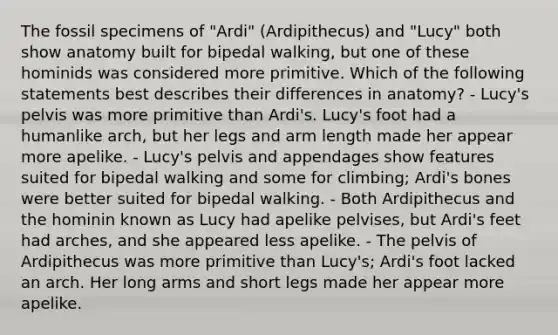 The fossil specimens of "Ardi" (Ardipithecus) and "Lucy" both show anatomy built for bipedal walking, but one of these hominids was considered more primitive. Which of the following statements best describes their differences in anatomy? - Lucy's pelvis was more primitive than Ardi's. Lucy's foot had a humanlike arch, but her legs and arm length made her appear more apelike. - Lucy's pelvis and appendages show features suited for bipedal walking and some for climbing; Ardi's bones were better suited for bipedal walking. - Both Ardipithecus and the hominin known as Lucy had apelike pelvises, but Ardi's feet had arches, and she appeared less apelike. - The pelvis of Ardipithecus was more primitive than Lucy's; Ardi's foot lacked an arch. Her long arms and short legs made her appear more apelike.