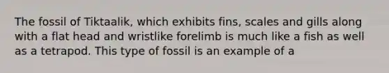 The fossil of Tiktaalik, which exhibits fins, scales and gills along with a flat head and wristlike forelimb is much like a fish as well as a tetrapod. This type of fossil is an example of a