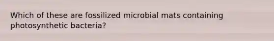 Which of these are fossilized microbial mats containing photosynthetic bacteria?