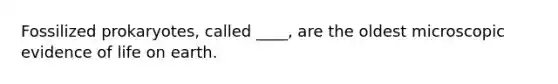 Fossilized prokaryotes, called ____, are the oldest microscopic evidence of life on earth.