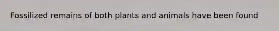 Fossilized remains of both plants and animals have been found