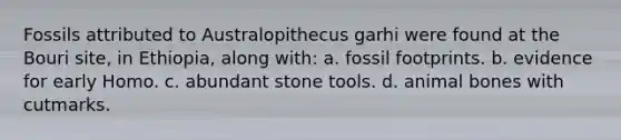 Fossils attributed to Australopithecus garhi were found at the Bouri site, in Ethiopia, along with: a. fossil footprints. b. evidence for early Homo. c. abundant stone tools. d. animal bones with cutmarks.