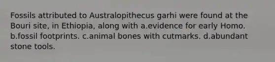 Fossils attributed to Australopithecus garhi were found at the Bouri site, in Ethiopia, along with a.evidence for early Homo. b.fossil footprints. c.animal bones with cutmarks. d.abundant stone tools.