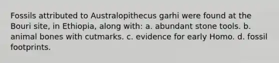 Fossils attributed to Australopithecus garhi were found at the Bouri site, in Ethiopia, along with: a. abundant stone tools. b. animal bones with cutmarks. c. evidence for early Homo. d. fossil footprints.