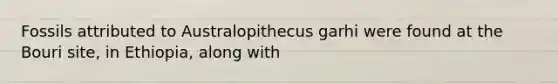 Fossils attributed to Australopithecus garhi were found at the Bouri site, in Ethiopia, along with