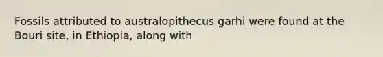 Fossils attributed to australopithecus garhi were found at the Bouri site, in Ethiopia, along with