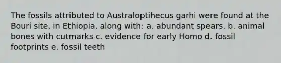 The fossils attributed to Australoptihecus garhi were found at the Bouri site, in Ethiopia, along with: a. abundant spears. b. animal bones with cutmarks c. evidence for early Homo d. fossil footprints e. fossil teeth