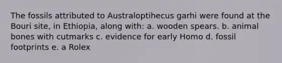 The fossils attributed to Australoptihecus garhi were found at the Bouri site, in Ethiopia, along with: a. wooden spears. b. animal bones with cutmarks c. evidence for early Homo d. fossil footprints e. a Rolex