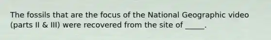 The fossils that are the focus of the National Geographic video (parts II & III) were recovered from the site of _____.