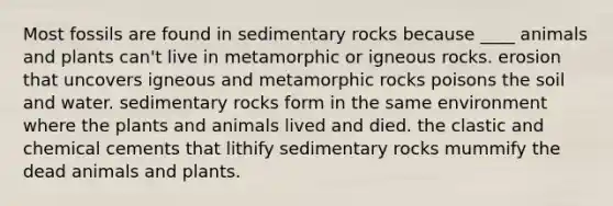 Most fossils are found in sedimentary rocks because ____ animals and plants can't live in metamorphic or igneous rocks. erosion that uncovers igneous and metamorphic rocks poisons the soil and water. sedimentary rocks form in the same environment where the plants and animals lived and died. the clastic and chemical cements that lithify sedimentary rocks mummify the dead animals and plants.